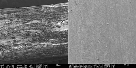 Scanning Electron Microscope images sof biodegradabe tough hydrogels